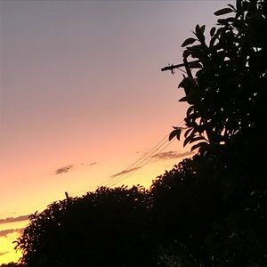 Meet your Posher, Geraldine